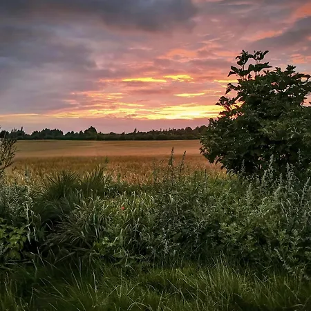 Authentic Country At A Farm *